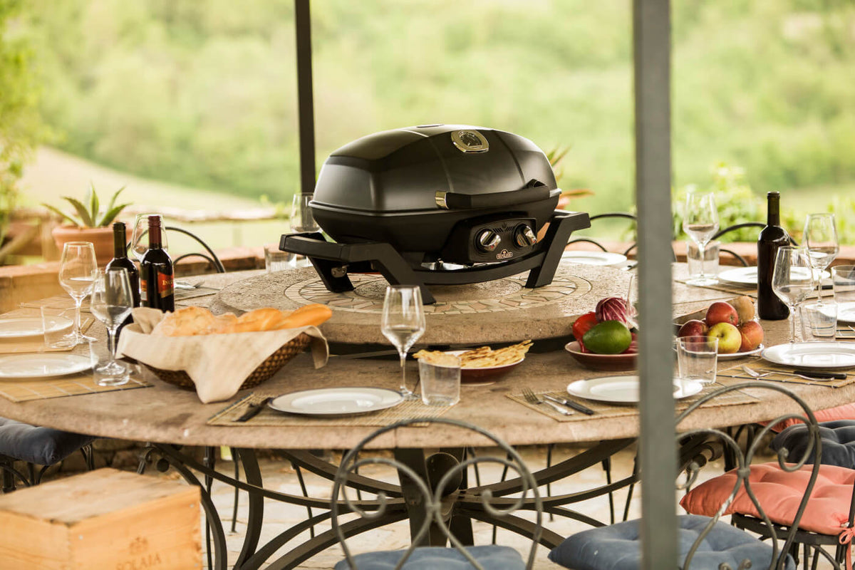 Napoleon - TravelQ™ PRO285 Portable Propane Gas Grill, Black - PRO285-BK