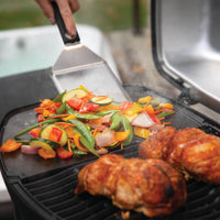 Napoleon - TravelQ™ PRO285E Portable Electric Grill, Black - PRO285E-BK