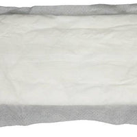 Naturelle - Ultra Thin Maxi Pad, 200/cs - 25130973