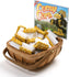 Norpro - Corn Brush (Included Display Basket), Pack of 48 - 1081D