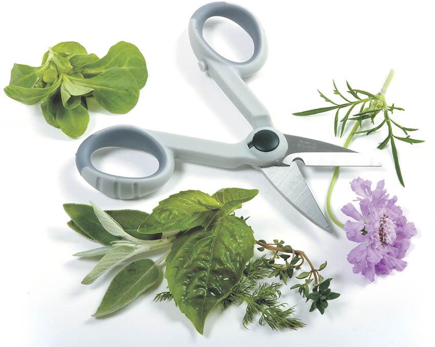 Norpro - My Favorite Scissors, Pack of 12 - 1536D