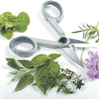 Norpro - My Favorite Scissors, Pack of 12 - 1536D