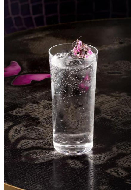 Nude - SAVAGE 11.20 Oz Highball Glass, Pack of 24 - NG64135