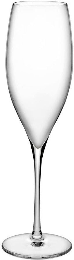 Nude - TERROIR 10.25 Oz Champagne Glass, 1 Dz/Cs - NG66098