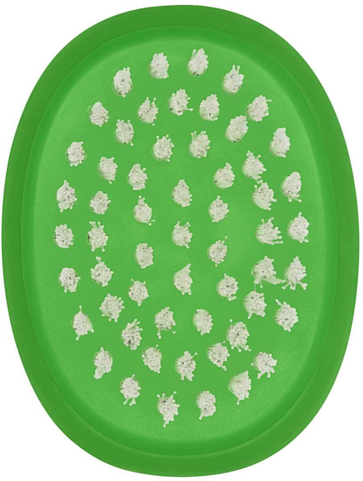 OXO - Vegetable Brush - 33781BK