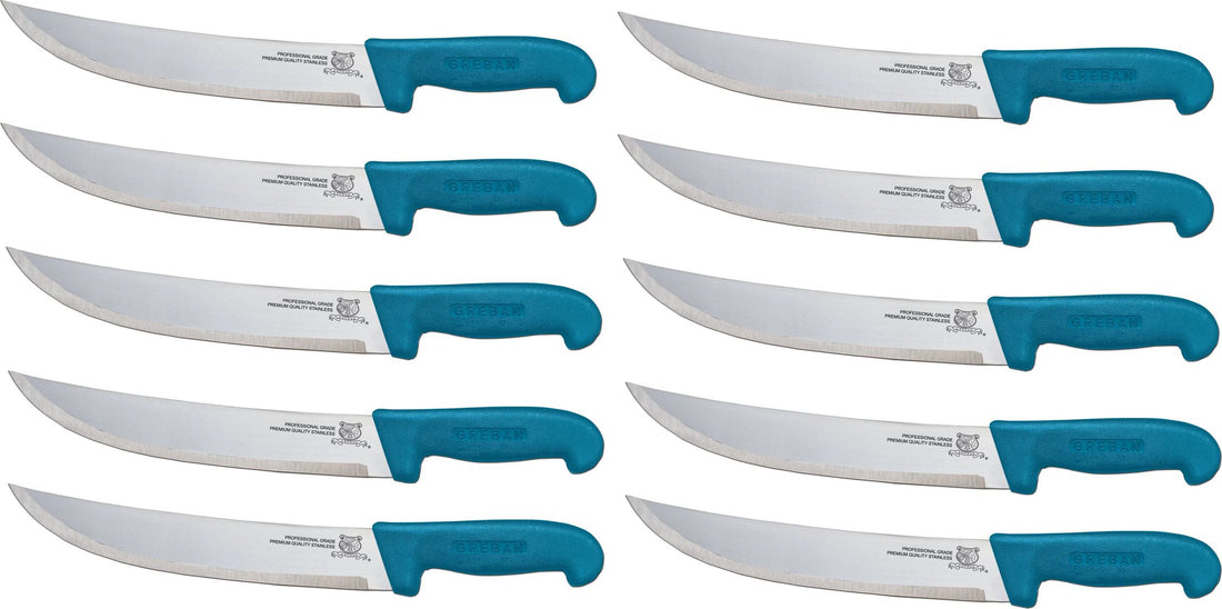 Omcan - 10” Butcher Steak Knife with Blue Polypropylene Handle, Pack of 5 - 12211