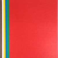 Omcan - 12" x 18", Pack of 6 Colour-Coded Flexible Cutting Boards, Pack of 10 - 41193