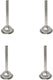 Omcan - 17 mm Stainless Steel Spout for # 12 Meat Grinder, Pack of 2 - 10012
