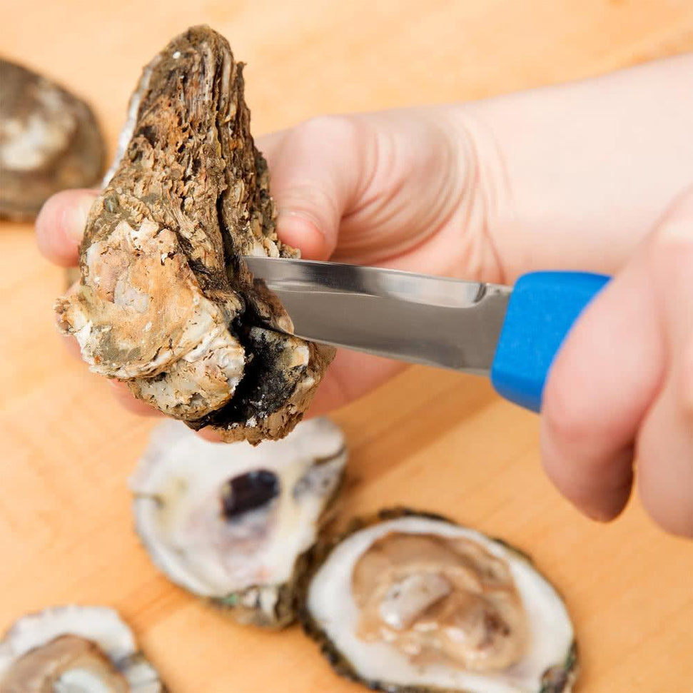 Omcan - 3.75” Blue Oyster Knife, Pack of 15 - 11523
