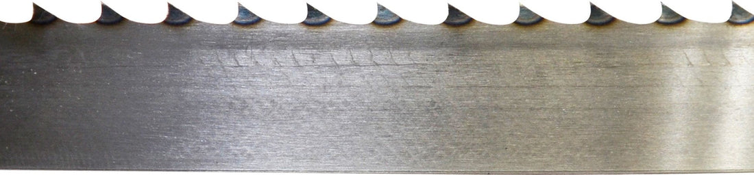 Omcan - 64” #422 Band Saw Blade, Pack of 10 - 10401