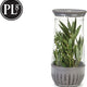 PL8 - Herb Saver Petite - PL8-1201