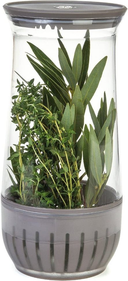 PL8 - Herb Saver Petite - PL8-1201