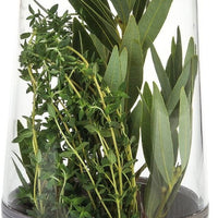 PL8 - Herb Saver Petite - PL8-1201