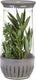 PL8 - Herb Saver Petite - PL8-1201