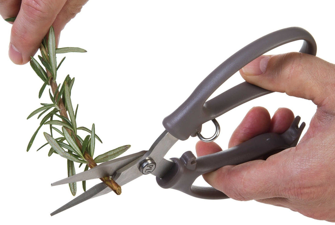 PL8 - Precision Herb Snips - PL8-1300