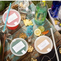 Pactiv Evergreen - DELItainer 8 oz. Clear, PP Container and PE Lid, 240/cs - YL2508