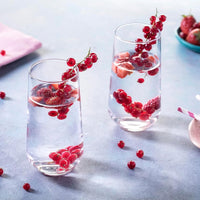Pasabahce - 465 ml Allegra HiBall Long Glass, Pack of 24 - PG420015