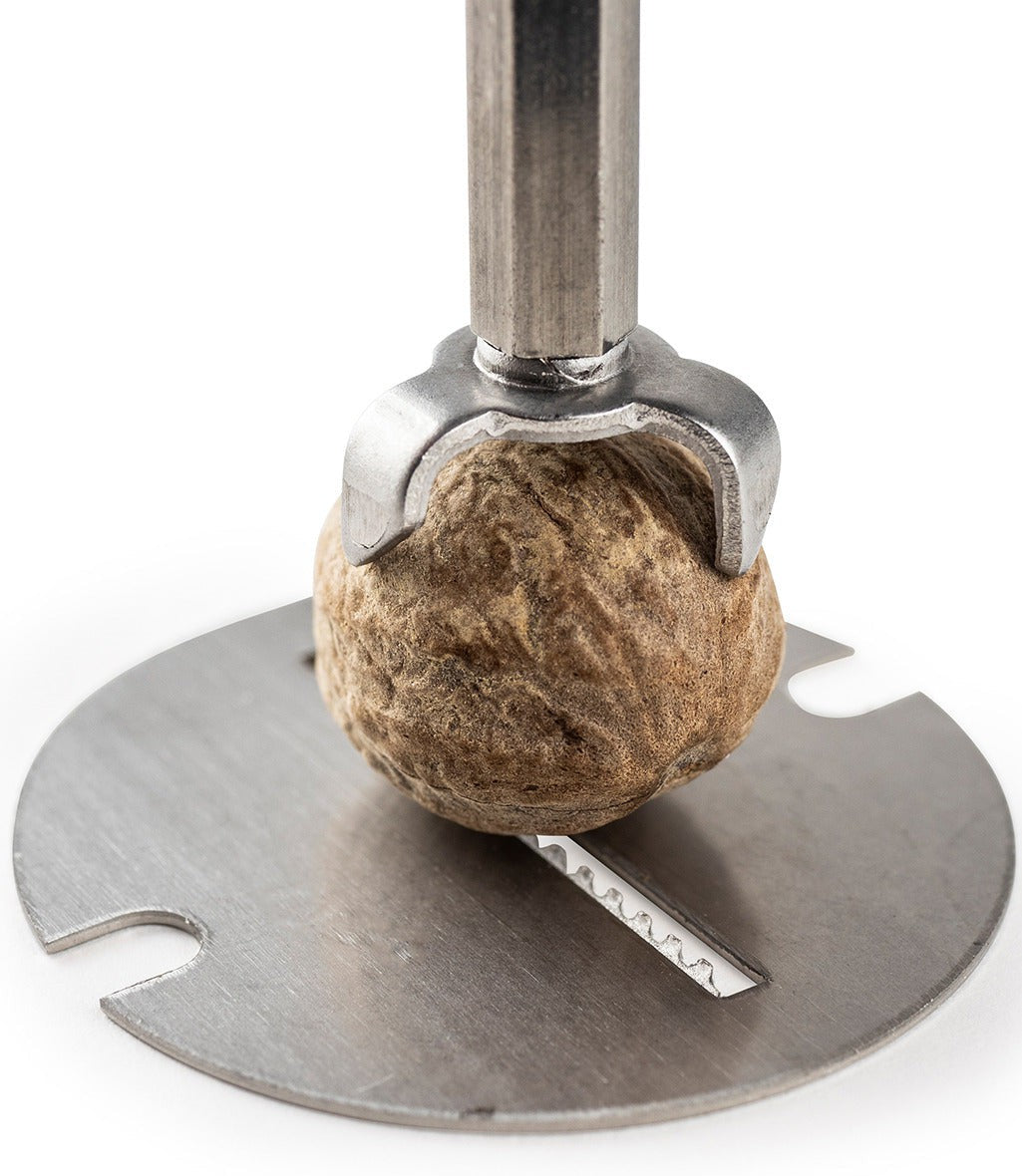 Peugeot - Daman 5.90" Acrylic/Stainless Steel Nutmeg Mill (15 cm) - 33088