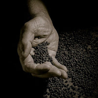 Peugeot - Paris 7" Classic Chocolate Wood Pepper Mill - 870418/1