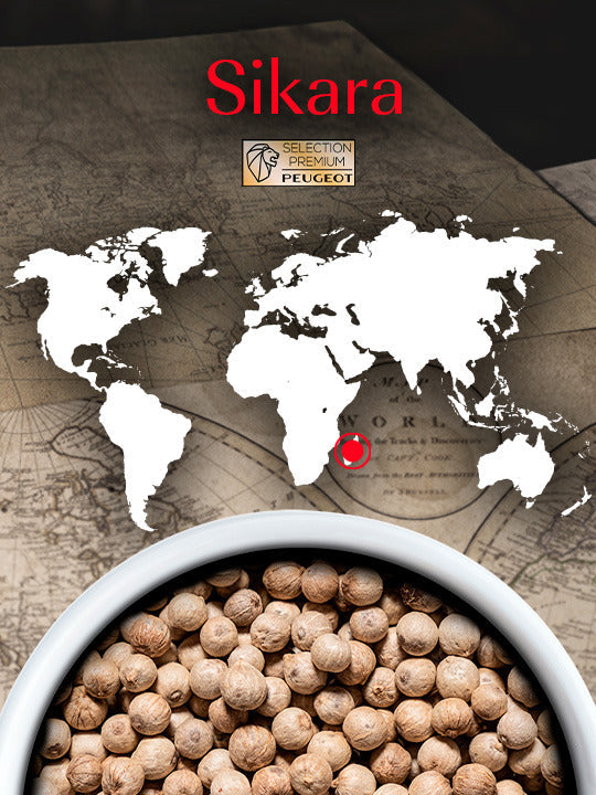 Peugeot - Sikara 3 x 20 g Sachets of Chinese White Pepper - 42486