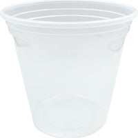 Phoenix Packaging Operations - 24 Oz Clear Deli Container, 500/Cs - OOVPN-02400000