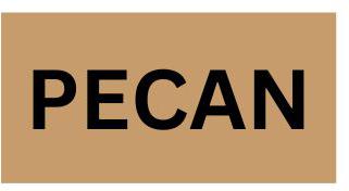 Precision Label & Tag - 1.5" X 2.5" Brown Rectangle PECAN Label, 1000/rl - LAB0340