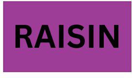 Precision Label & Tag - 1.5" x 2.5" Purple Rectangle RAISIN Label, 325/rl - LAB2360