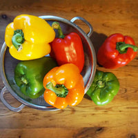 RSVP International - 3 QT Endurance Precision Pierced Colander - PUNCH3