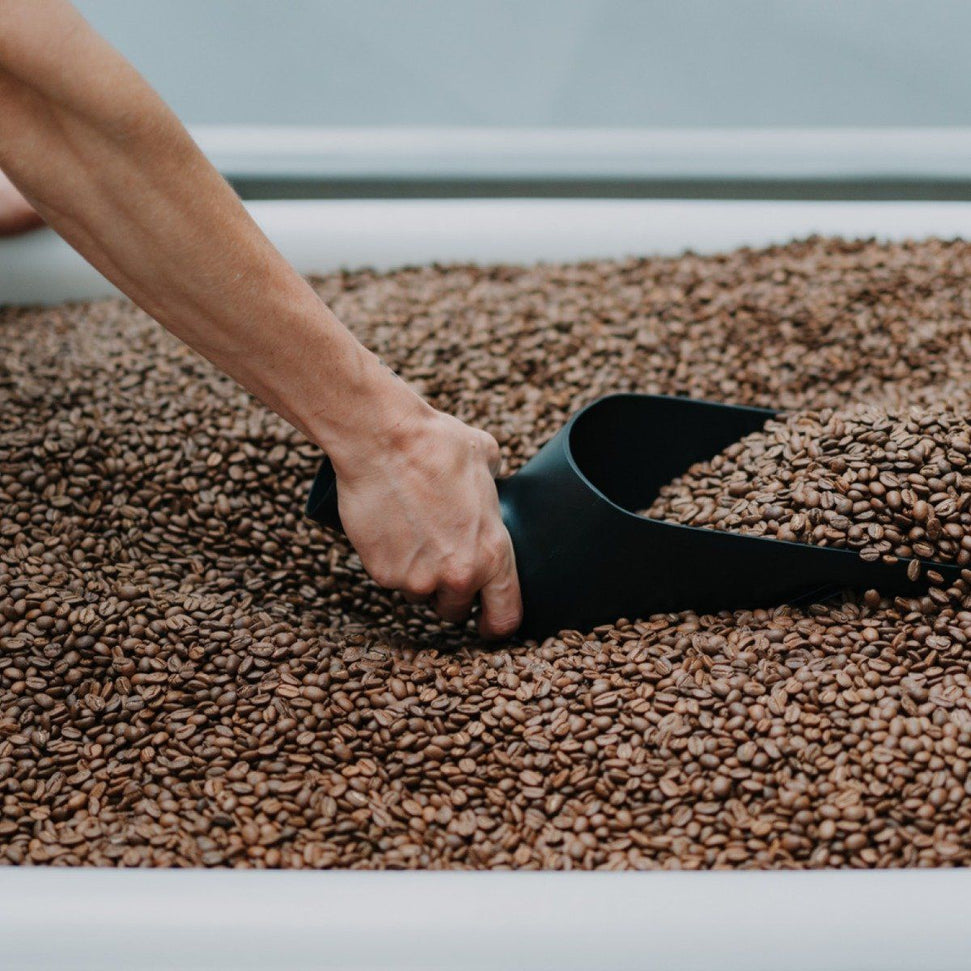 Rhino - 35.2 Oz Black Bean Scoop - RHBNSCP (Special Order Item)