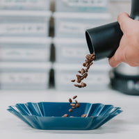 Rhino - Blue Bean Tray, Pack Of 12 - RWBEANBL-12 (Special Order Item)