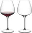 Riedel - Grape@Riedel Pinot Noir/Nebbiolo/Aperitivo, Pack of 2 - 6424/07