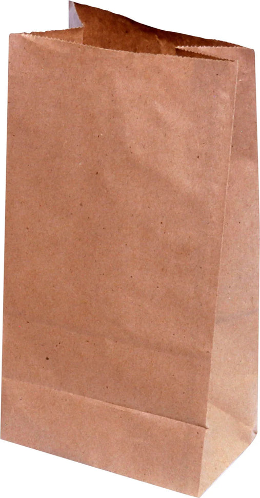 RiteEarth - 10 lb Paper Bag Kraft, 500/bn - PB100K
