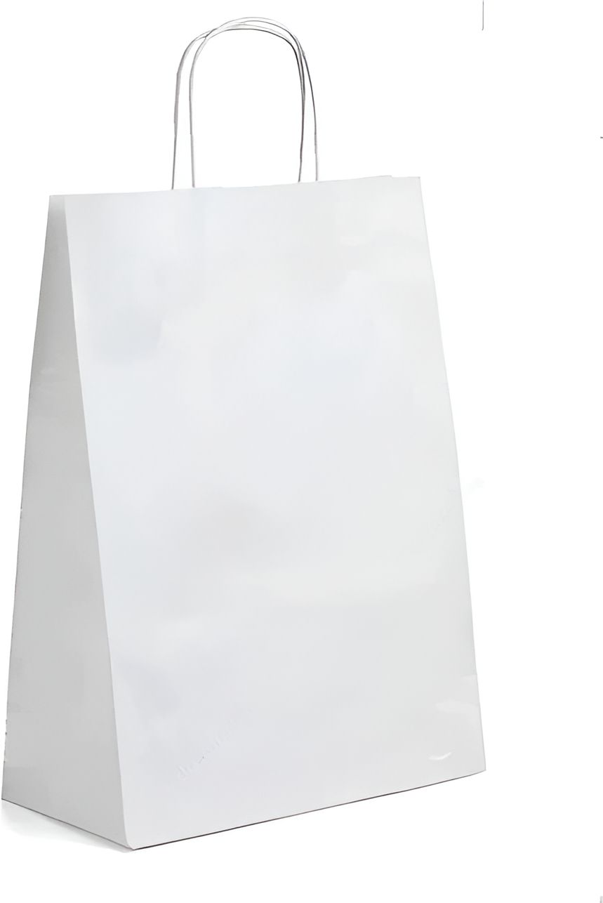 RiteEarth - 10 x 7 x 12" White Paper Twist Handle Bag, 200/Cs - PT10712W