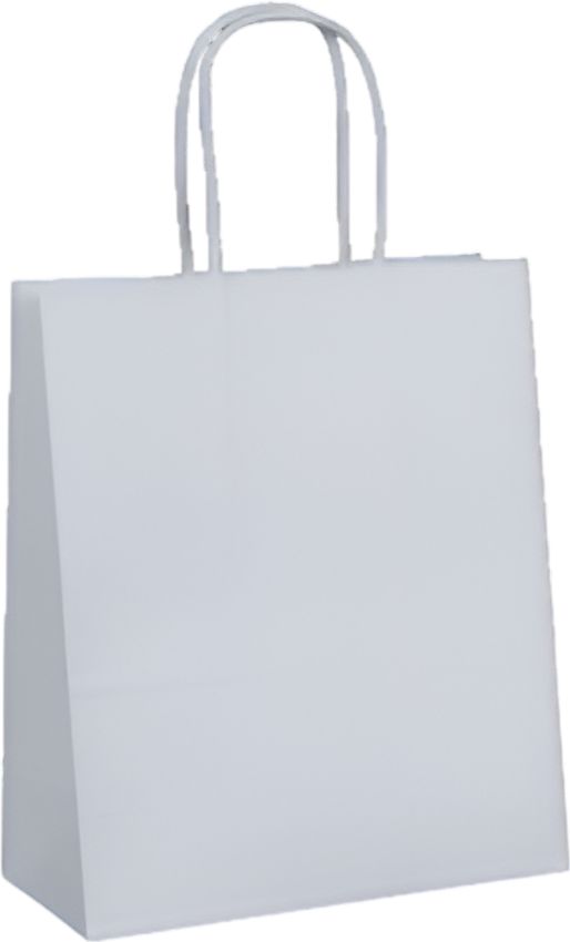 RiteEarth - 13" x 7" x 17" White Paper Twist Handle Bag, 250/Cs - PT13717W