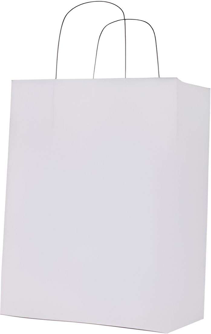 RiteEarth - 16" x 6" x 12" White Paper Twist Handle Bag, 250/Cs, 16Cs/Sk - PT16612W