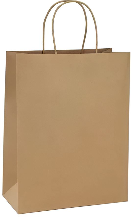 RiteEarth - 18" x 7" x 18.75" Kraft Paper Twist Handle Bag, 200/Cs - Universal - Recycled Kraft