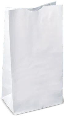 RiteEarth - 20 lb Paper Bag White, 500/Bn - PB200W