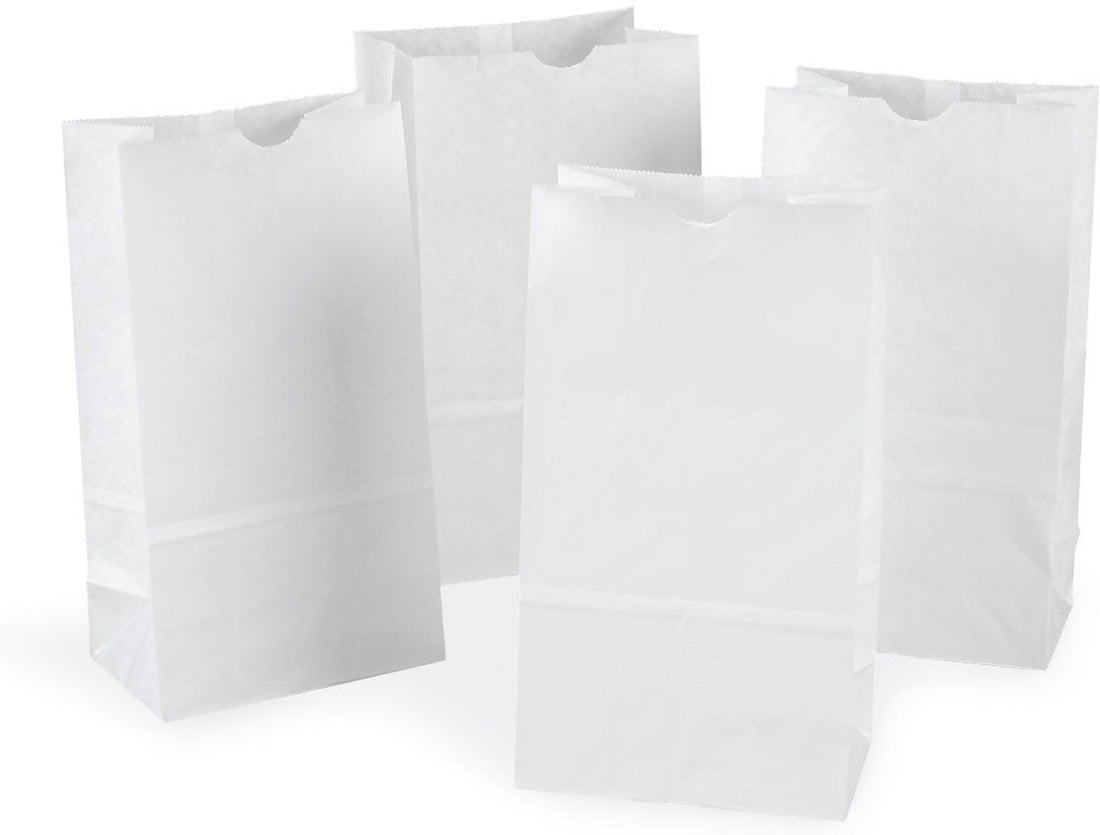 RiteEarth - 6 lb Paper Bag White, 500/Bn - PB060W