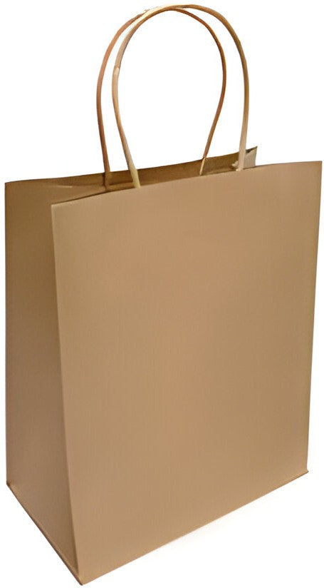RiteEarth - 8" x 4.5" x 10" Kraft Paper Twist Handle Bag, 250/Cs - PT08410K