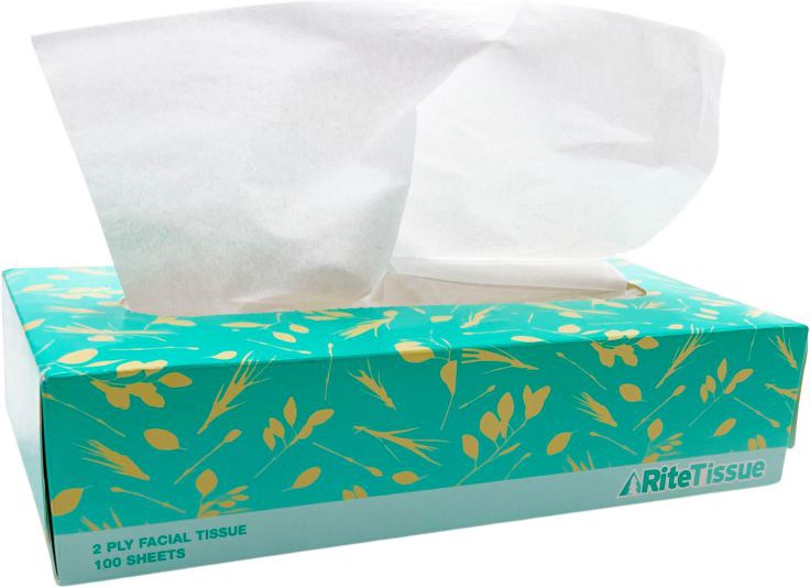 RiteTissue - 7.48" x 7.87" 2 Ply Facial Tissue Flat Box, 30 Bx/Cs - FT100