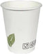 RiteWare - 12 Oz Cafe Design Hot Cup, 1000/cs - HC12CF