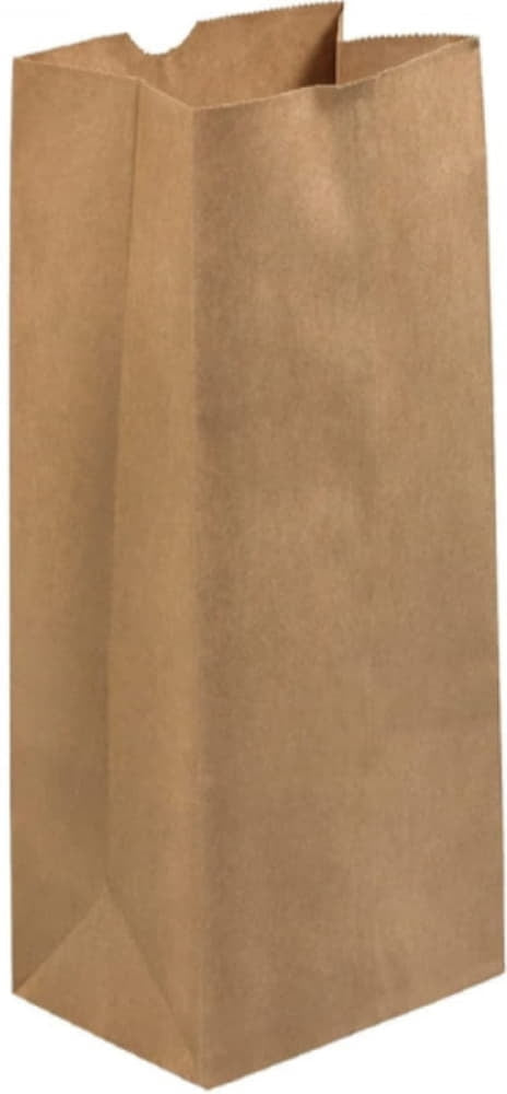 Rosenbloom - 6.25" x 3.75" x 12.5", 8 Lb Brown Paper Bag, 500 Per Bundle - 1000800C00