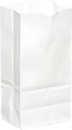 Rosenbloom - 8.25" x 5.5" x 15.75" White Paper Bag, 500 Per Bundle - 1002000W00 (Special Order Item)