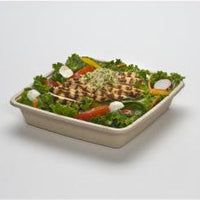 Sabert - 48 Oz Square Deep Pulp Container, 300/cs - 49148F300N