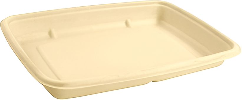 Sabert - 6" x 9" x 1", 20 Oz Rectangle Pulp Container, 300 Per Case - 46120F300N