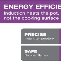 Salton - 12.9" Single Burner Portable Induction Cooktop - ID1948