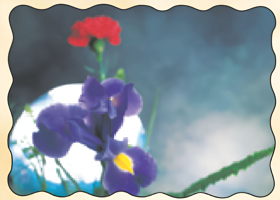 Sanfacon - 9.5" x 13.5" Photo Placemats, 1000/cs - 8029 (Special Order Item)