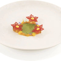 Silikomart - Silicone Baking Mold - BOTANICA