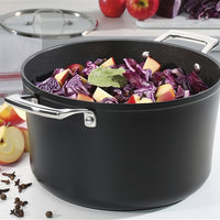 Spring - Meridian Intense Pro 9.5" Stockpot with Lid - S1315540624