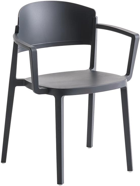 Tarrison - Abuela Black Arm Chair - AS29310A